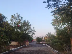 أرض زراعيه للبيع جاهزه لعمل أستراحه بها أغلب الاشياء الأساسية لعمل أستراحه، بئر ماء ، كهرباء ، ملحق
