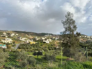 Residential Land for Sale in Zarqa Birayn