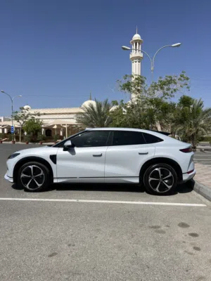 BYD Song L EV