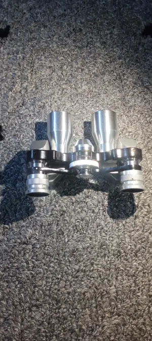 دربيل ياباني بيبي