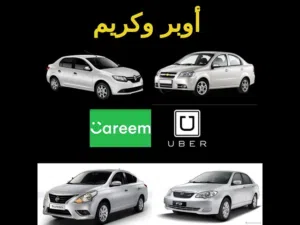 مطلوب شريك ممول لمشروع سيارات نقل ذكي