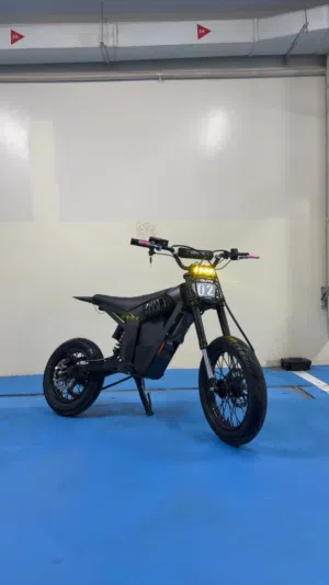 Customized Kugoo Wish 01 SE