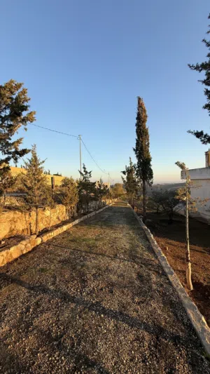 � فرصة استثمارية مميزة - أرض للبيع في جريبا / الزرقاء �
