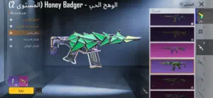 Pubg Accounts and Characters for Sale in Al Dakhiliya