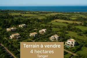 Mixed Use . 39051 m2 . Agent4