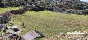 residential-land-for-sale-in-hebron-dura