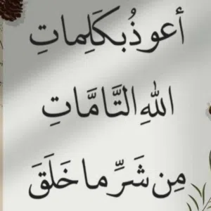 Mahmoud abu joud
