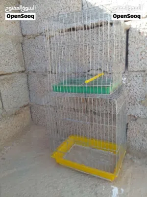 القفص بي 15 يا بلاش