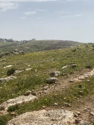 Farm Land for Sale in Jerash Qafqafa