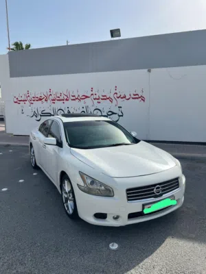 للبيع نسيان مكسيما