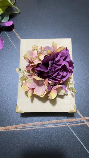فيروز عبد الفتاح 
