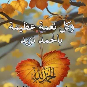 فواد ابو احمد الجنوبي