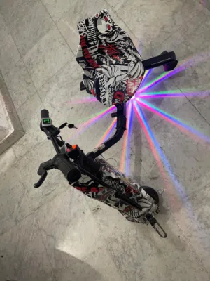 Beverly Electric Bike – Excellent Condition