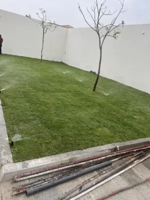 مسطحات خضراء