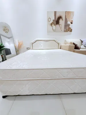 Medicated Dewan queen size bed with mattress