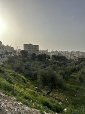 Residential Land for Sale in Amman Al Qwaismeh
