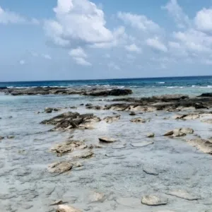 Libyaa 