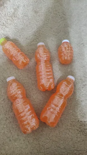 الوحدة علي 5
