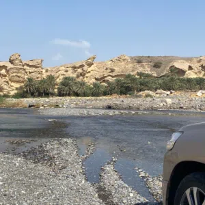 Wave Muscat