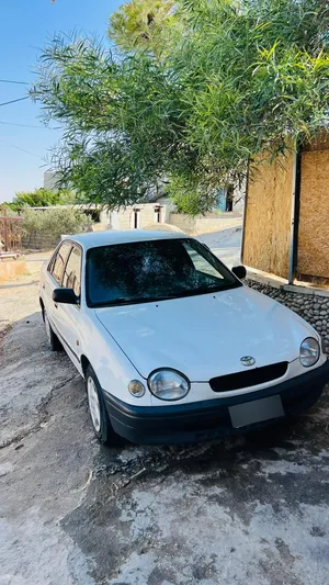 تيوتا-قرش-ونص