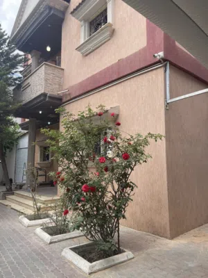 فيلا. المشروع للبيع