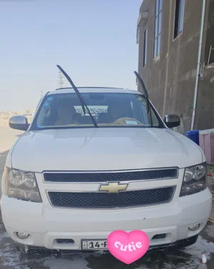 تاهو 2011 LT