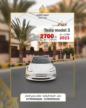 Used Tesla Model 3 in Amman