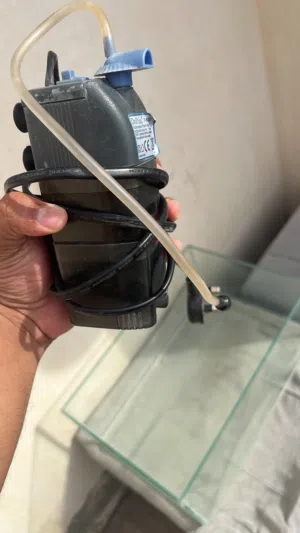 Fish tank with oxygen