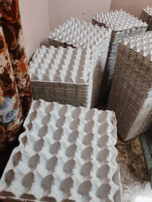 علب تخزين بيض الدجاج السمان والبط..... للبيع.....