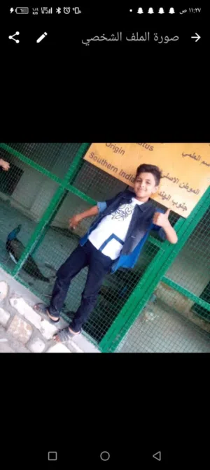 ام محمد 