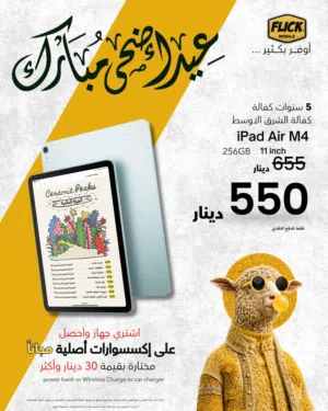 IPAD AIR 8 256gb wifi ( M4 ) // ايباد اير 8 256 جيجا واي فاي