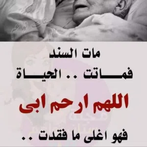 محمود 