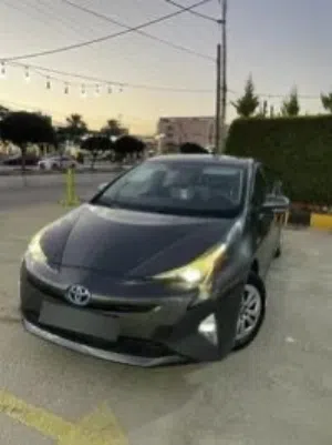 بريوس للبيع