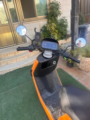 فل كهربا ما بيجيها ترخيص وتامين