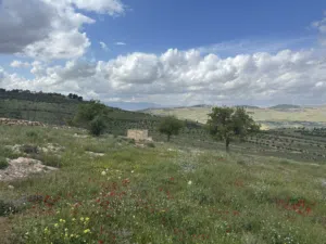 Farm Land for Sale in Zarqa Al-Alouk