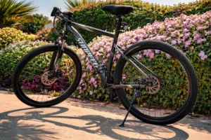 SUNPEED MOUNTAIN BIKE (29 INCH)