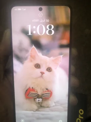 Poco x6 pro