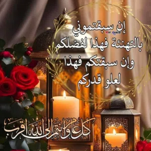 محمدمحمد 