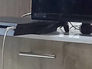 ps4 للللبيع