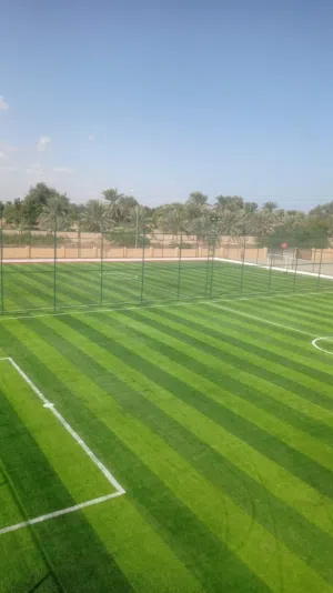 عشب صناعي للملاعب