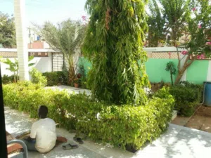 200 m2 More than 6 bedrooms Townhouse for Rent in Khartoum Al-Mohandiseen