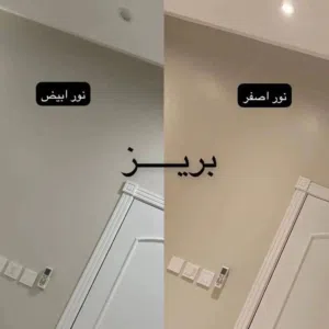 ديكورات #دهانات