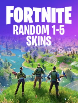 Fortnite Random Accounts