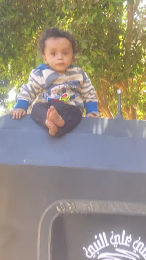 جوز عصافير