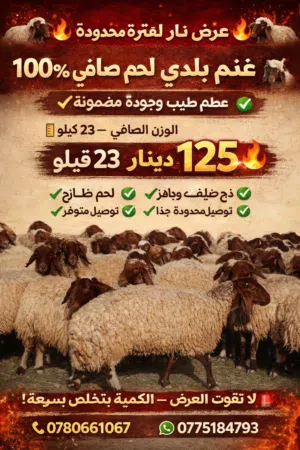 محمد المشاقبه