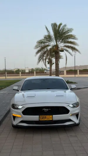 Used Ford Mustang in Muscat