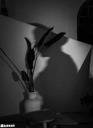 مصور اعراس