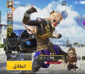 حساب ببجي للبيع لقطه