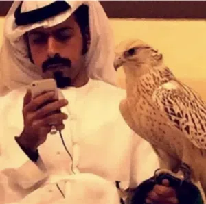 حمد 