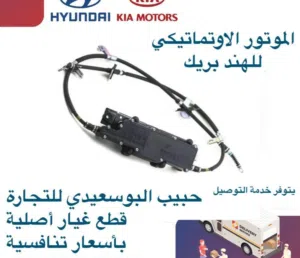 الموتور الاتوماتيكي للهند بريك وكالة(هيونداى/كيا)